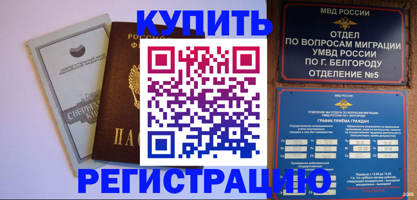 прописка гарантия в Светлогорске